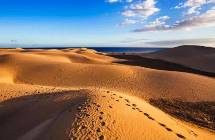キャンプ場 Meloneras Maspalomas